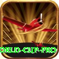 2019 world cup - VIP Supreme