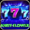 andy flower Max v2.4.9