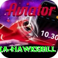antigua hawksbill Apps (Tools & Injectors) Max v2.9.3