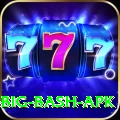 bbl big bash apk Turbo Pro v2.9.9