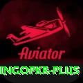 bingopkr Plus Pro v2.4.0