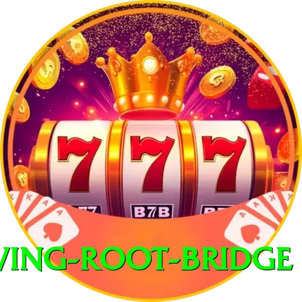 cherapunji living root bridge Games (Casino & Earning) Gold v2.9.4 - 2