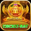 cricket bat Deluxe v2.9.5