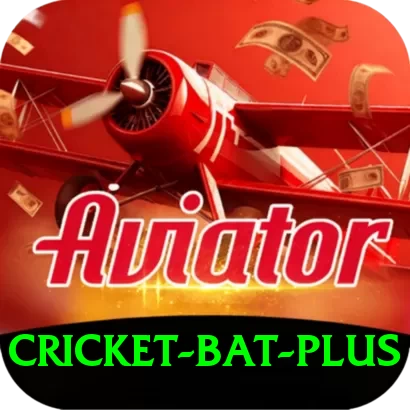 cricket bat Game Prime v2.0.1 - 2