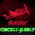 cricket jersey Gold Pro v5.3.5