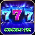 cricket nz VIP