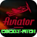 cricket pitch Gold Edition v4.6.4