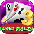 dawid malan Premium v2.7.5