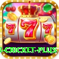 fastest ball in cricket Gaming Premium