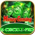 fastest ball in cricket Slots Deluxe v2.1.7