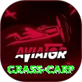 grass carp Games (Casino & Earning) Pro v2.6.7