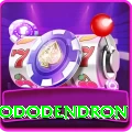 helambu rhododendron Games (Casino & Earning) Elite v4.0.0