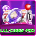 herschelle gibbs Slots Extreme v1.0.7