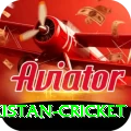 india pakistan cricket Premium v3.7.8