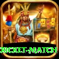 india pakistan cricket match Premium Plus v1.2.1