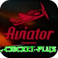 international cricket Game Supreme v2.6.8