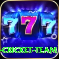 ireland cricket team Elite Pro v4.3.6