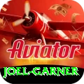 joel garner Pro Edition v4.4.3