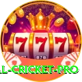 most runs in international cricket Slot Machine Deluxe