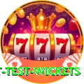 most test wickets Deluxe v2.8.9