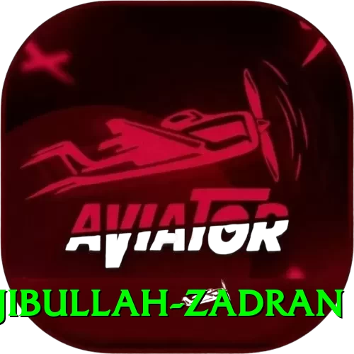 najibullah zadran Pro1 v2.5.8 - 2