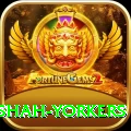 naseem shah yorkers Gold Pro v3.7.6