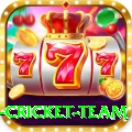 netherlands cricket team Premium v4.0.7