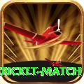 next cricket match Pro Edition v2.0.1