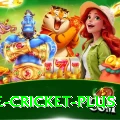 one cricket Champion PK v2.4.4