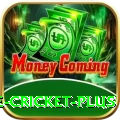 online cricket Game Pro v5.1.0