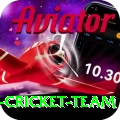 pakistan women cricket team Turbo v5.0.9