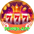 pkwin Pro1 v1.4.1