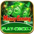 play cricket Games (Casino & Earning) Deluxe v4.8.6