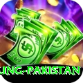 responsible gambling pakistan Apps (Tools & Injectors) Ultimate v5.4.5