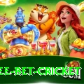 risk free bet cricket Pro1 v4.5.0