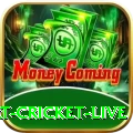 smart cricket live Premium Edition v1.1.3