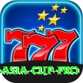 t20 asia cup Slots Premium v5.5.0