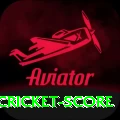 test cricket score Premium Edition v1.8.5