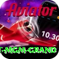the signature at mgm grand Plus Pro v3.8.8