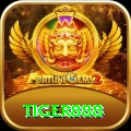 tiger888 Gold Pro vv1.7.8