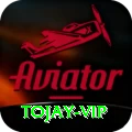 tojay Apps (Tools & Injectors) Deluxe v2.8.5