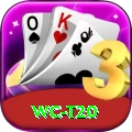 wc t20 Apps (Tools & Injectors) Plus v2.2.4