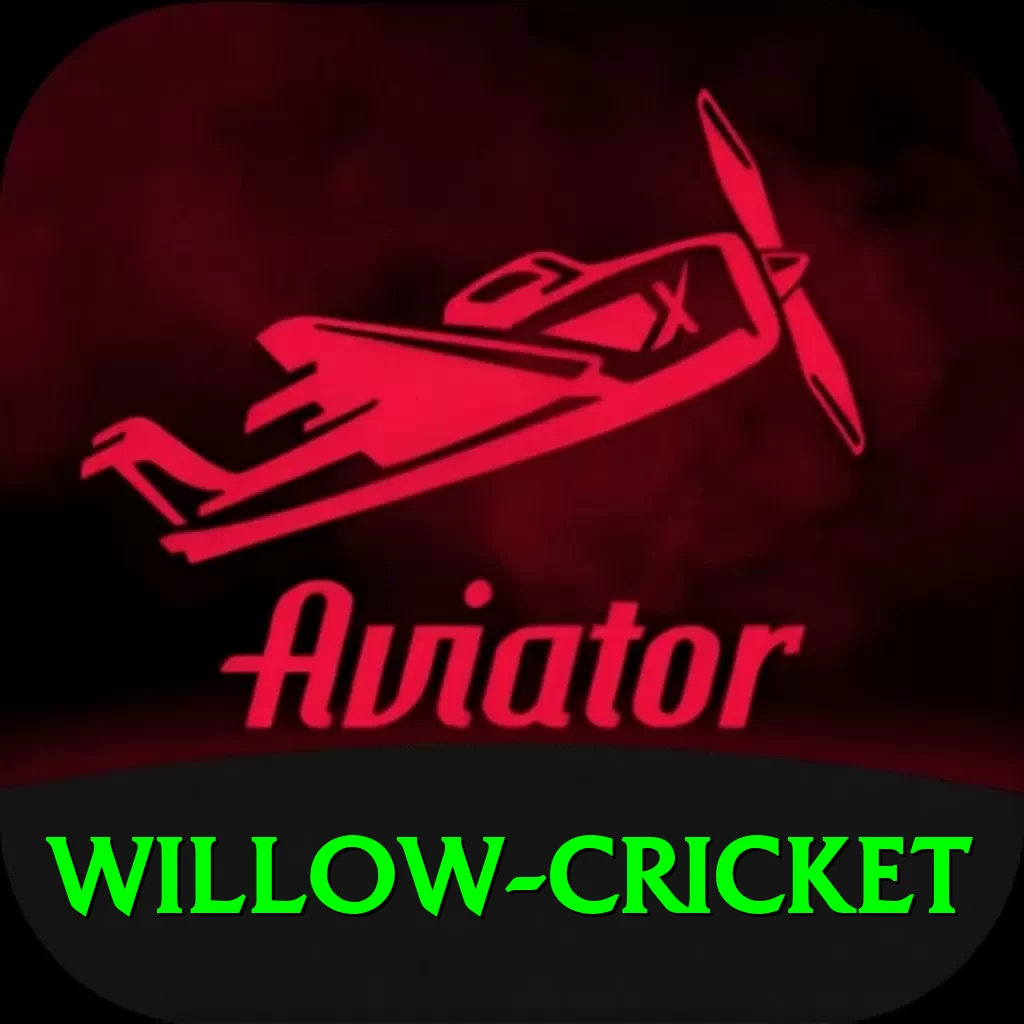 willow cricket Ultimate v5.2.9 - 2