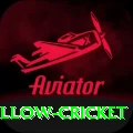 willow cricket Ultimate v5.2.9