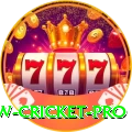 willow cricket Prime - Free Download
