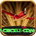www cricket com Turbo v1.2.2